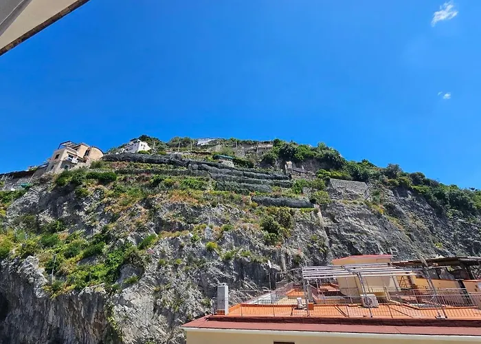 Brasca Amalfi Rosa Canina